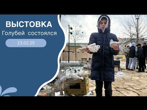 Видео: 23 февраля 2025 г.