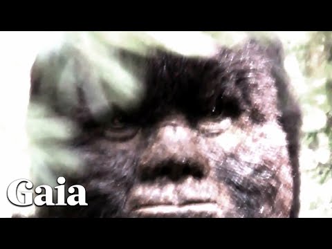 Видео: ЛИЦОМ К ЛИЦУ с САСКВОТЧОМ — Кинорежиссер провел десятилетия в дикой природе