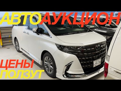 Видео: ЯПОНСКИЕ ТОРГИ 2024 ЯНВАРЬ / TOYOTA ALPHARD YARIS CH-R RUSH AURIS SUZUKI SOLIO JIMNY