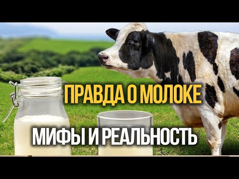 Видео: Правда о молоке: мифы и реальные факты.