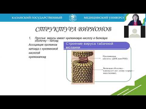 Видео: Г.Ш. Исаева. Строение и классификация вирусов. Вироиды. Прионы. Бактериофаги. Педиатрический фак-тет