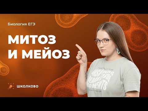 Видео: Митоз и мейоз: вся теория и практика для ЕГЭ и ОГЭ 2024 по биологии