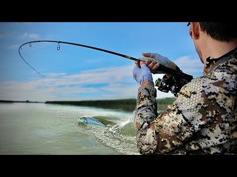 Видео: Эта рыба ЛОМАЕТ нам удочки...