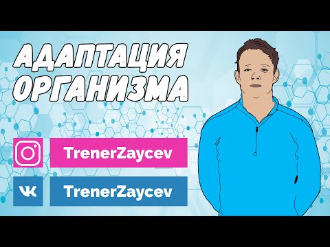 Видео: 06.  Адаптация или "перестройка" организма во время тренировки