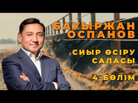 Видео: Мал шаруашылығы. 4-бөлім: Бауыржан Оспановтың сиыр шаруашылығы жайлы