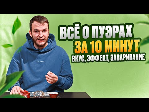 Видео: Что такое пуэр? Всё о пуэрах за 10 минут