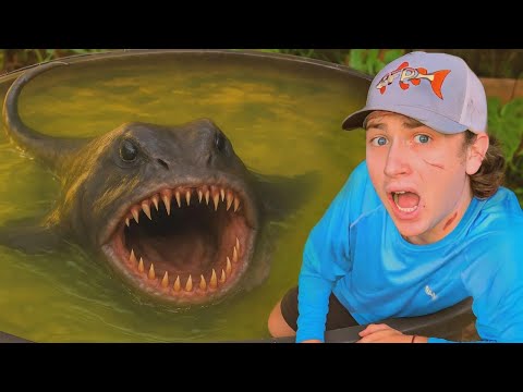 Видео: Я нашёл инопланетянина у себя в пруду!