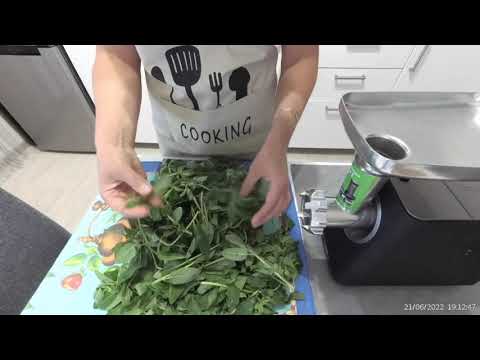 Видео: Чай ☕️ из листьев мяты,ферментировать,заготовка.