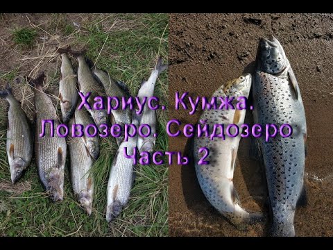 Видео: Ловозеро, Сейдозеро Часть 2