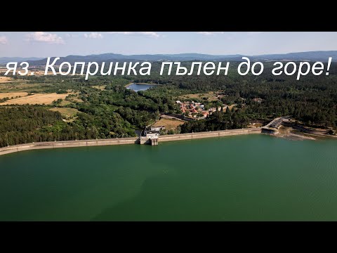 Видео: яз. Копринка пълен до горе!