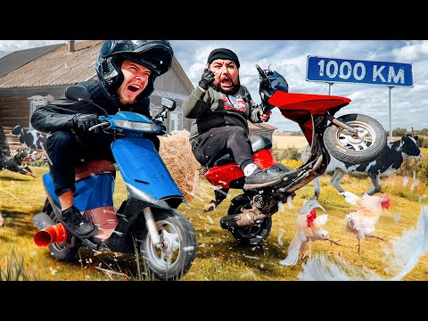 Видео: 1000км на СТАРЫХ МОПЕДАХ с Великим Васей!