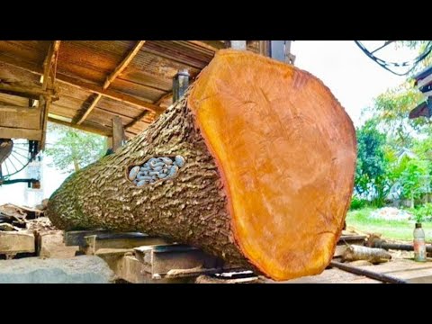 Видео: Совершенная красота! Распиливаем длинный и большой пень красного дерева на доски 4х50 см.