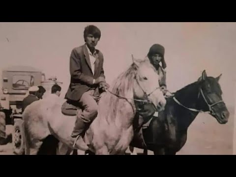 Видео: Шегірбайдың Көк аты Алтынтөбе Мадияр Шабандоз Палуан атамыз