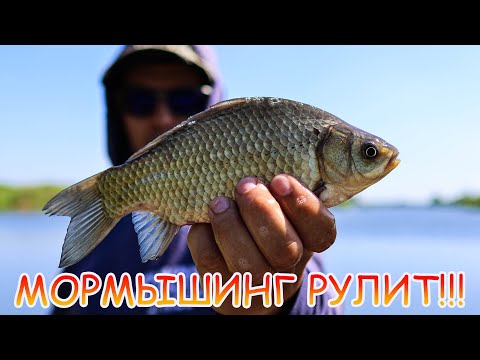 Видео: Мормышинг рулит!!! Половил карася, леща и даже щука клюнула!