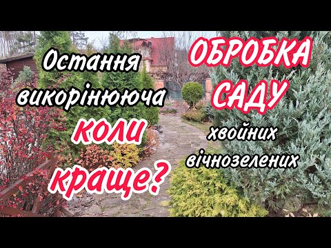 Видео: Викорінююча ОБРОБКА. Щоб НЕ НАШКОДИТИ. Коли робити.