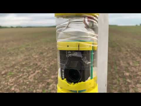 Видео: Все запуски во втором квартале 2025