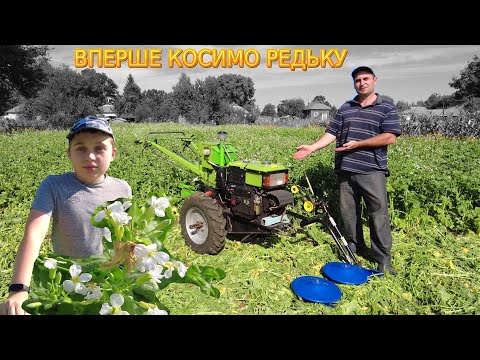 Видео: Ефективне ДОБРИВО для ГОРОДУ за 45 днів !!!