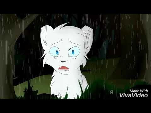 Видео: Коты-Воители: Кукла: песня: Что же ты делаешь папа?