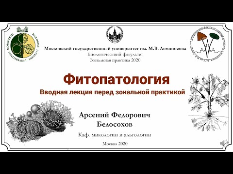 Видео: А.Ф. Белосохов. Фитопатогены