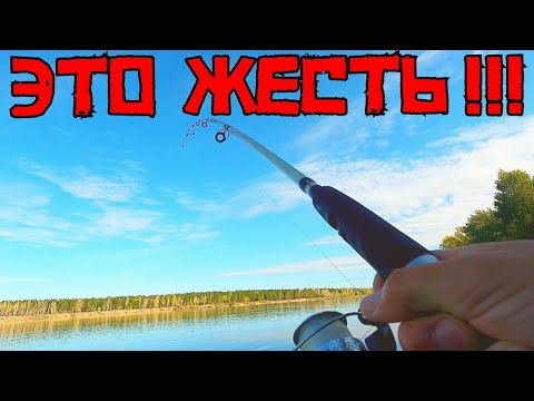 Видео: ПРОВЕРИЛ НОЧНЫЕ СНАСТИ И ОШАЛЕЛ! Схватила ДИКАЯ ЗВЕРИНА и... ТАЩИТ В ВОДУ!