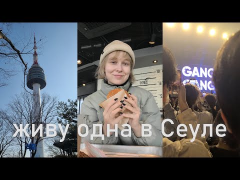 Видео: Живу одна в Сеуле |влог| учеба, Намсан, концерт DPR Regime