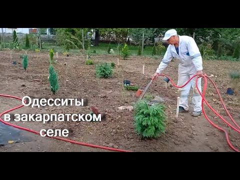 Видео: А ми сіємо квіти, навіть якщо завтра кінець світу...🌸🌸🌸