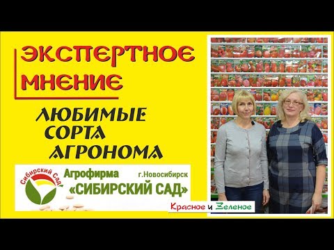 Видео: Агрофирма Сибирский сад. Любимые сорта агронома. Томаты, перец, баклажаны