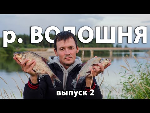 Видео: Какой рыбы тут только нет - лещ, подлещик, густера, окунь, уклейка, плотва! Рыбалка на сапе. Руза.