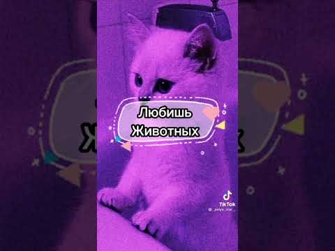 Видео: //пой эту песню если ты..//