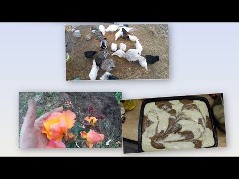 Видео: Волосы на месте 👌жизнь в деревне