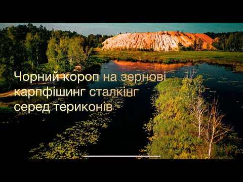 Видео: Чорний короп на зернові, карпфішинг сталкінг серед териконів