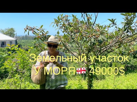 Видео: ♥️🇬🇪Продажа НЕ Сельхоз участок у моря‼️49000$ #Шекветили