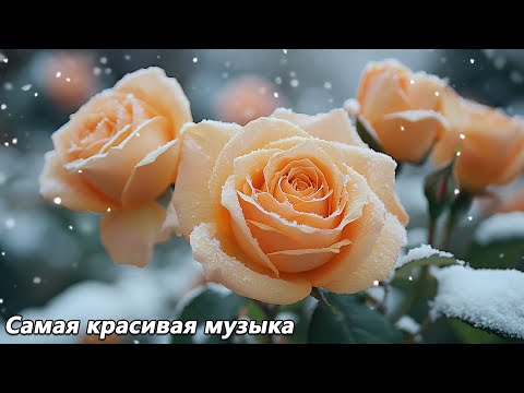 Видео: ВОССТАНОВЛЕНИЕ НЕРВНОЙ СИСТЕМЫ🌿Музыка для глубины души🌿Лучшие мелодии Сергея Грищука