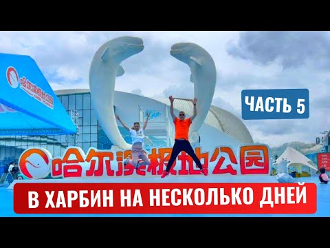 Видео: В Харбин на несколько дней. ч.5. Sunac Land (Ванда парк). Термальные источники Кленовые листья.
