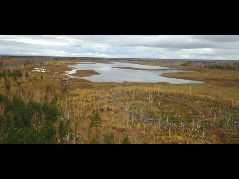 Видео: КОРДОН ЯЗЫ. БЫВШИЙ ПОСЁЛОК в НИЖЕГОРОДСКИХ ЛЕСАХ. Озеро Попова и Малые Язы