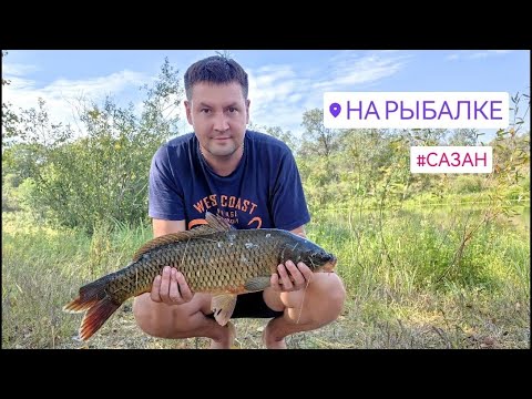 Видео: Рыбалка на сазана, сентябрь 2023. Ночью к нам на пляж пришёл лось!