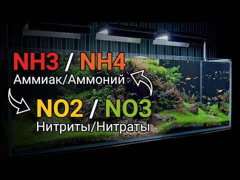 Видео: Аммиак NH3 и аммоний NH4, нитриты NO2 и нитраты NO3 в воде аквариума. Азотный цикл в воде.