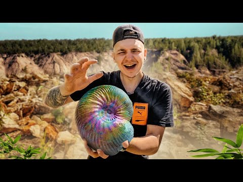 Видео: НАШЁЛ РЕДКИЙ НАУТИЛУС! Поиск ОГРОМНЫХ окаменелостей и КРИСТАЛЛОВ!