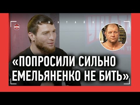 Видео: ИМАМ ХАТАЕВ: Бетербиев и Бивол, Кушиташвили и Атаев, Бахрам и Тим Цзю, Австралия, ЗУБ КОРЕЙЦА