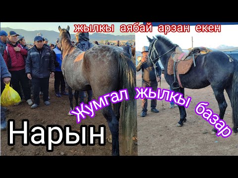 Видео: 19.Сентября НАРЫНДА ЖЫЛКЫ АРЗАН ЕКЕН ЖЫЛКЫ БАЗАР ЖУМГАЛ🔥💥