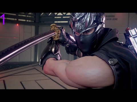 Видео: NINJA GAIDEN 2 Black  Прохождение 1