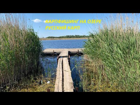 Видео: ЗА КРУПНЫМ КАРПОМ С 20 ПО 22 МАЯ 2024 ГОД / РЫБАЛКА КАРПФИШИНГ