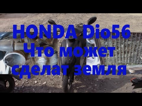 Видео: HONDA Dio56 мне все по барабану скутер на гарантии