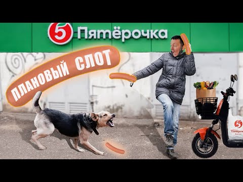 Видео: Плановый слот «Х5 Пятёрочка» #работа #курьер #х5 #яндекс #доставка