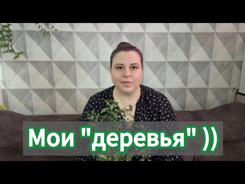 Видео: Коллекция моих маленьких деревьев))