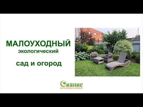 Видео: Малоуходый экологический сад и огород. Запись вебинара.