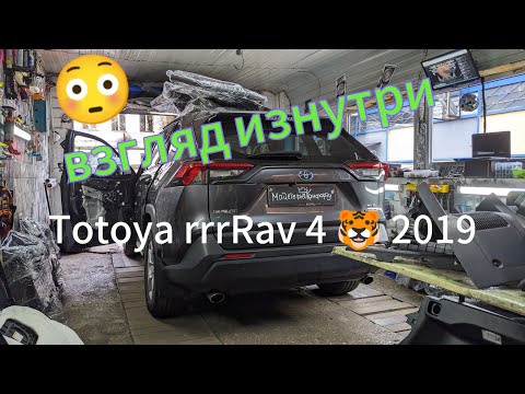 Видео: Взгляд изнутри | Totoya rrrrRav 4 🐯 | 2019