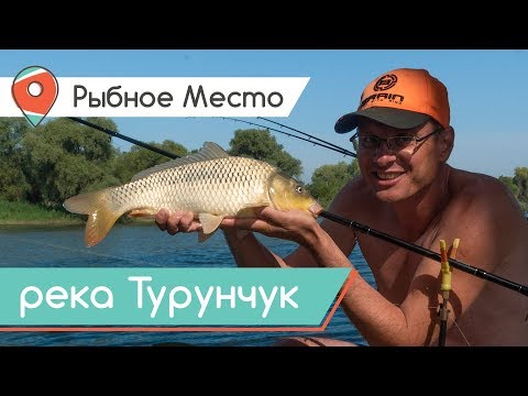 Видео: ДИКИЙ САЗАН НА ФИДЕР! Рыбалка в удовольствие на реке Турунчук. Рыбное место.