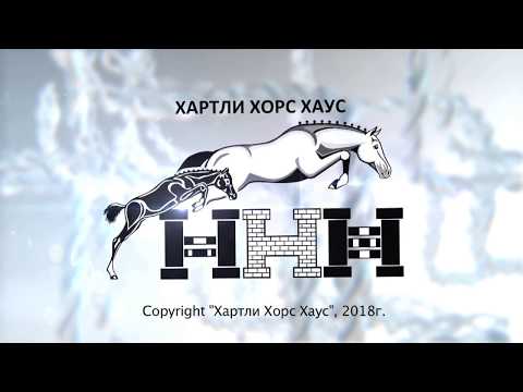 Видео: Выжеребка  Часть 1