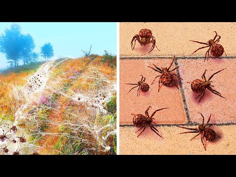 Видео: 18 самых аномальных и загадочных мест на Земле